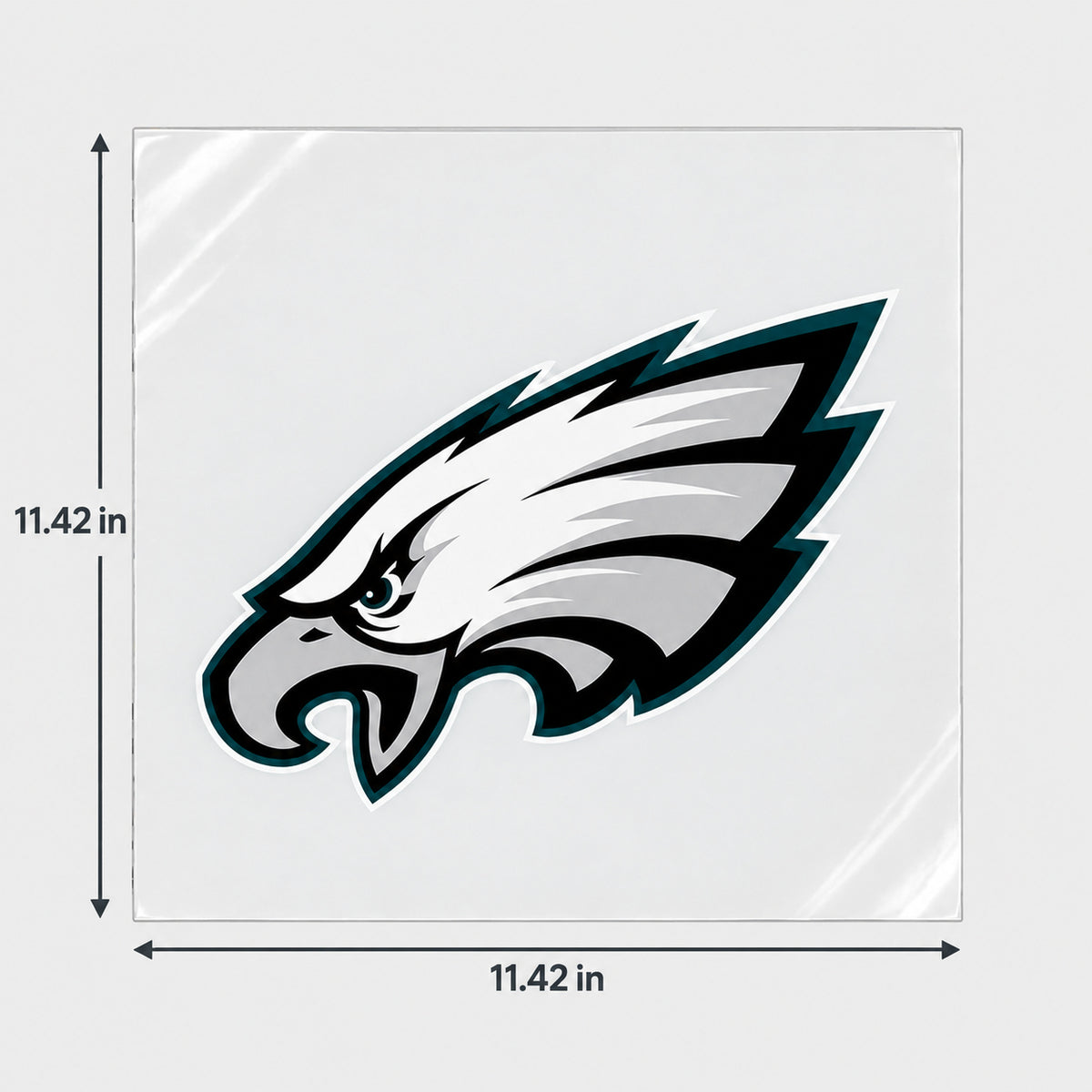 Philadelphia Eagles decorative sticker displayed on clear film with size markings